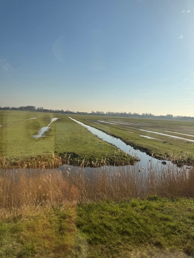 &aring;pent landskap dekket av bekker og gress