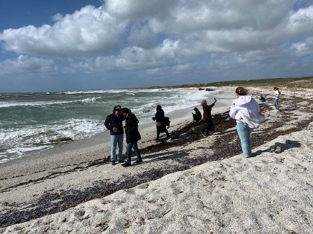 En gruppe mennesker på en strand. Det blåser og bølgene skummer.