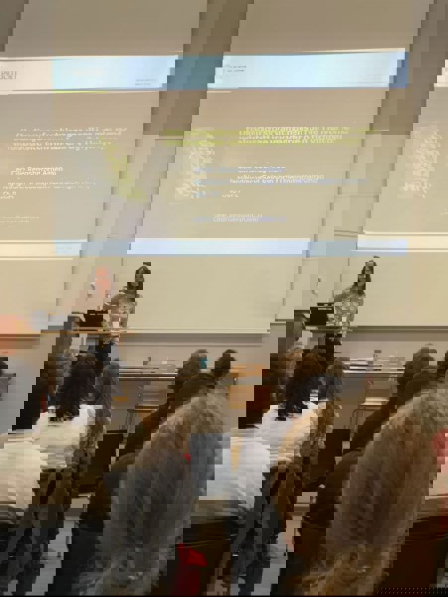 Cecilie R. Arnesen forteller om utlendingsforvaltningens rolle i møte med voldsutsatte innvandrere og flyktninger