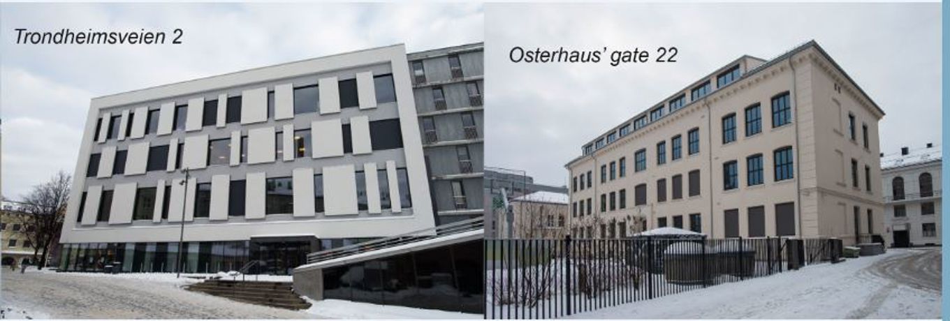 Foto: Trondheimsveien 2 og Osterhaus' gate 22 Bilde av skolebyggene til avdeling sentrum,Trondheimsveien 2 og Osterhaus' gate 22