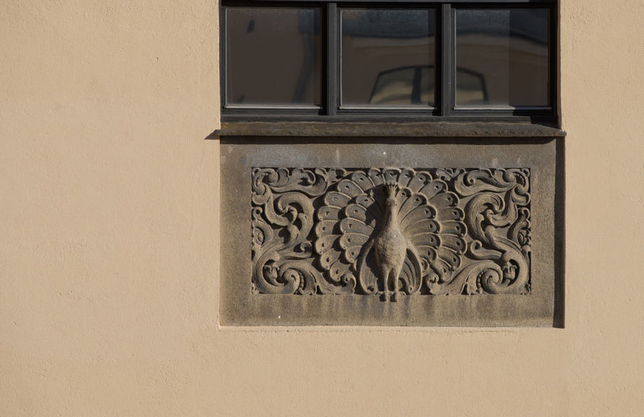 Foto: Påfugl. Detalj fra yttervegg. Bilde av en detalj fra veggen i Dynekilgata, som viser en påfugl.