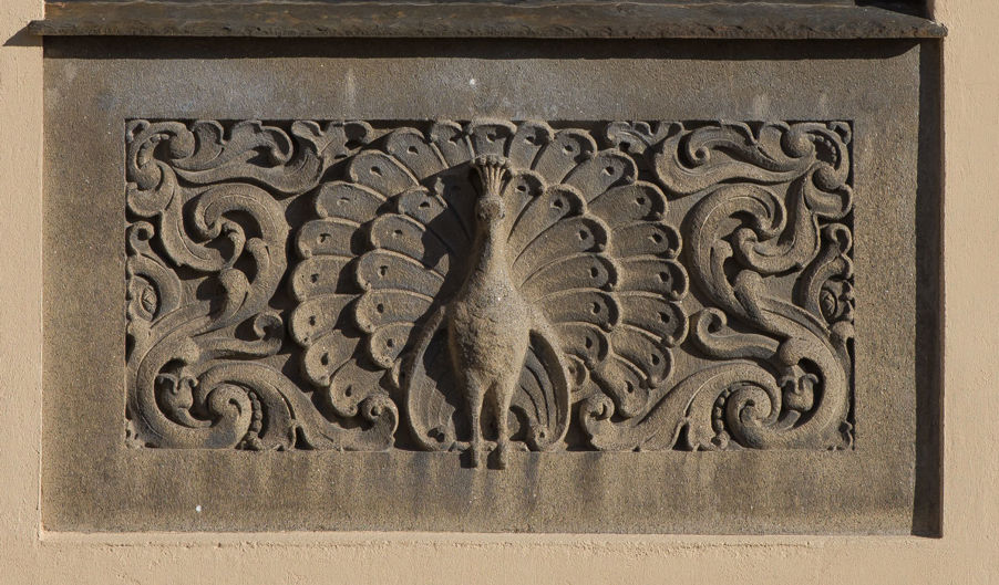 Foto: Påfugl. Detalj fra yttervegg. Bilde av en detalj fra veggen i Dynekilgata, som viser en påfugl.