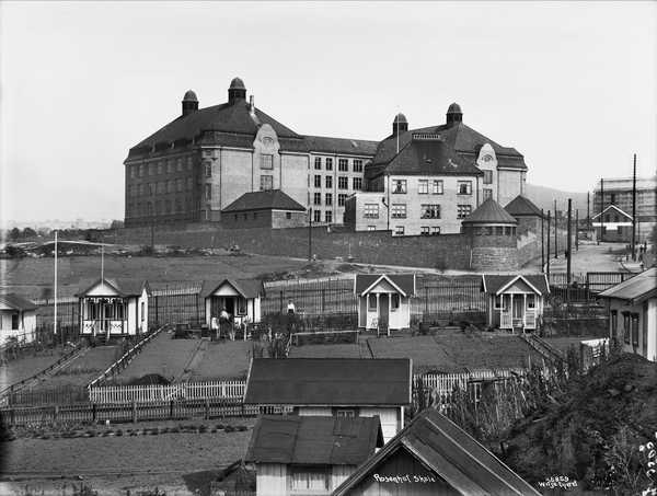 Bilde av Rosenhof skole, Dynekilgata 10 fra 1919. Rodeløkka kolonihage i forgrunnen